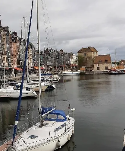 Le Maurifleur Vous Accueille A 3 Km De Honfleur * エクモヴィル